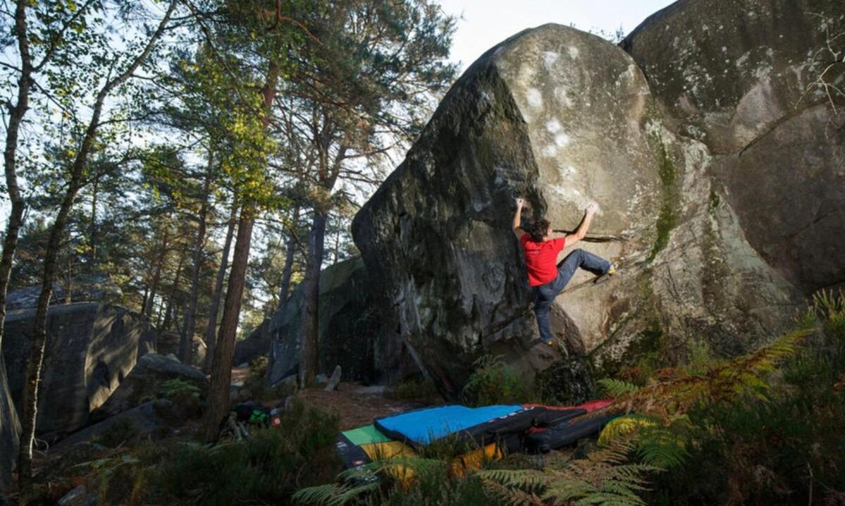 Le Jardin Des Hautes Presles Le Fer A Cheval Fontainebleau Dış mekan fotoğraf
